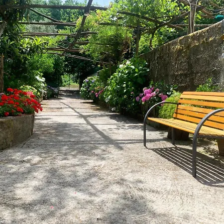 Hills سورينتو