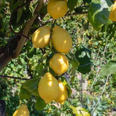 Hills Bed and breakfast Península Sorrentina